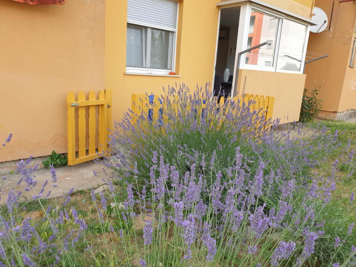 Ferienwohnung Lav Rovinj Exterior foto